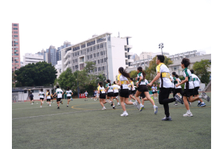 esf_kgv_296 (1)