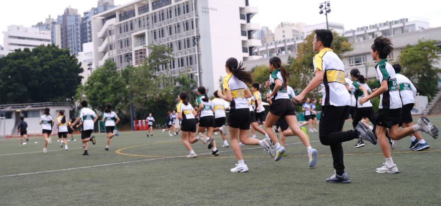 esf_kgv_296 (1)