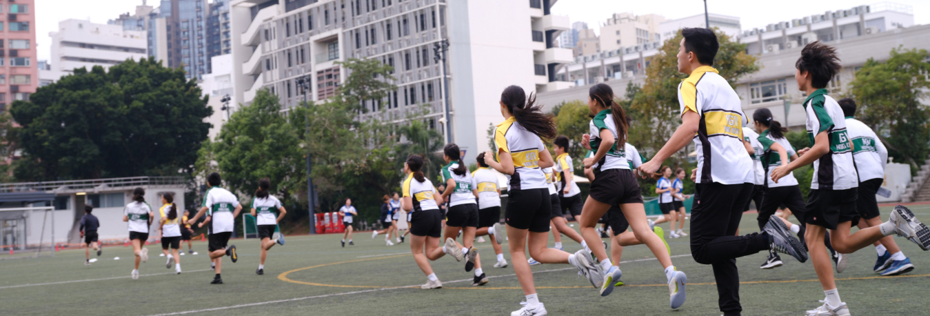 esf_kgv_296 (1)